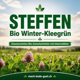 STEFFEN Bio Winter-Kleegrün – 10kg
