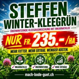 STEFFEN Winter-Kleegrün – 10kg