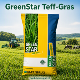 GreenStar Teff Gras – Trockentolerantes Zwischenfutter