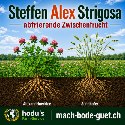 Steffen Alexstrigosa 20kg