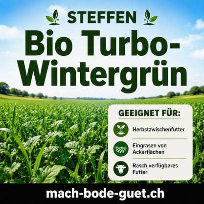 STEFFEN Bio Turbo-Wintergrün -10kg