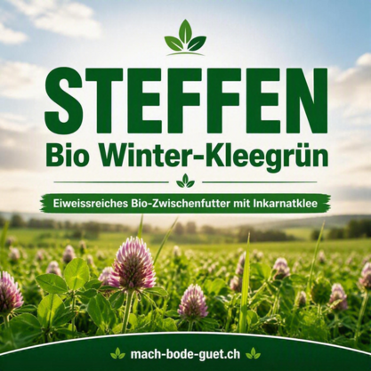 STEFFEN Bio Winter-Kleegrün – 10kg