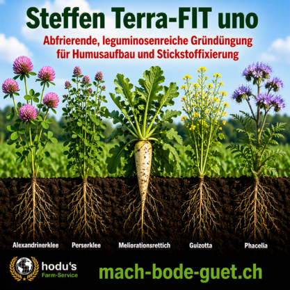Steffen Terra Fit uno 20kg