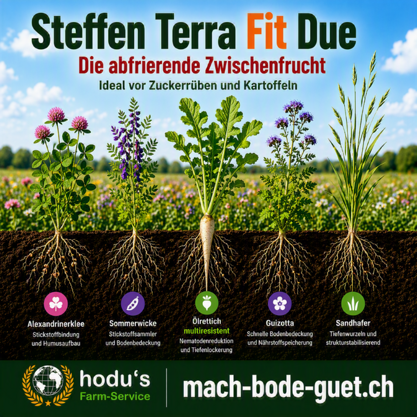 Steffen-Terra-Fit due 20kg Sack