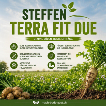 Steffen-Terra-Fit due 20kg