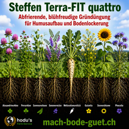 Steffen-Terra-Fit quattro 20kg