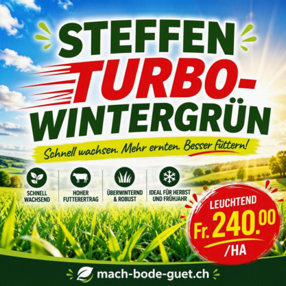 STEFFEN Turbo-Wintergrün 10kg