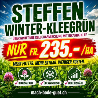 STEFFEN Winter-Kleegrün – 10kg