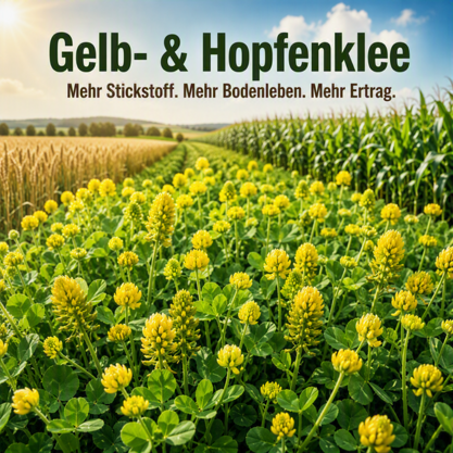 Gelbklee 10kg