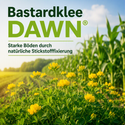 Bastardklee DAWN® 25kg