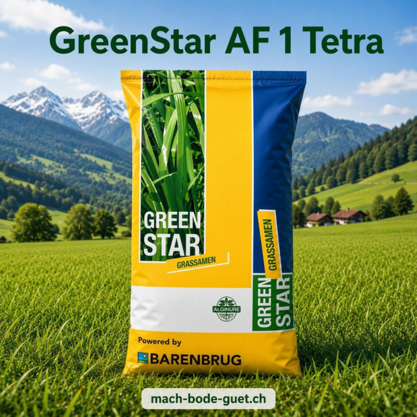 GreenStar AF 1 Tera – 100 % Welsches Weidelgras Tetraploid