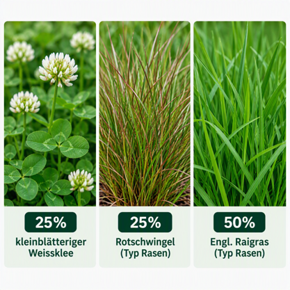 Steffen Actihum 10kg