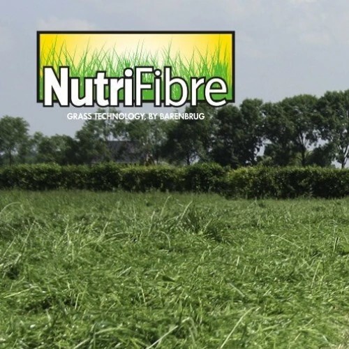 Greenstar Intensiv Plus