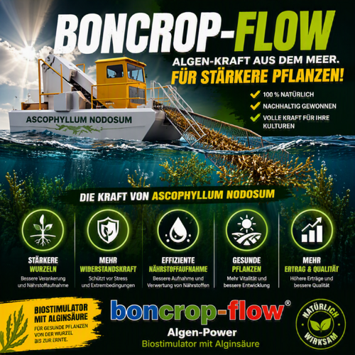 Boncrop Flow