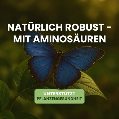 Amino Power Plus Liquid – Biostimulator für Stressschutz