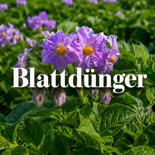 Blattdünger