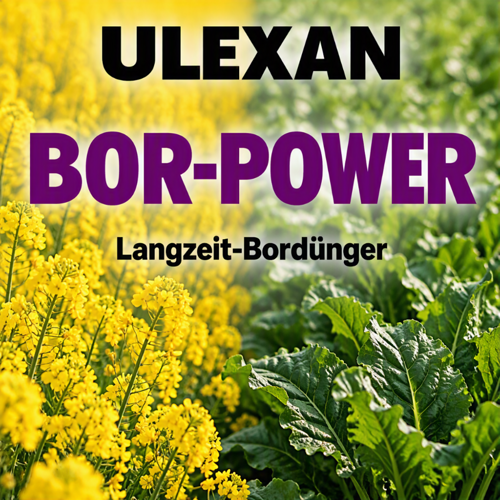 Ulexan Bor 14 G - Langzeit-Bordünger
