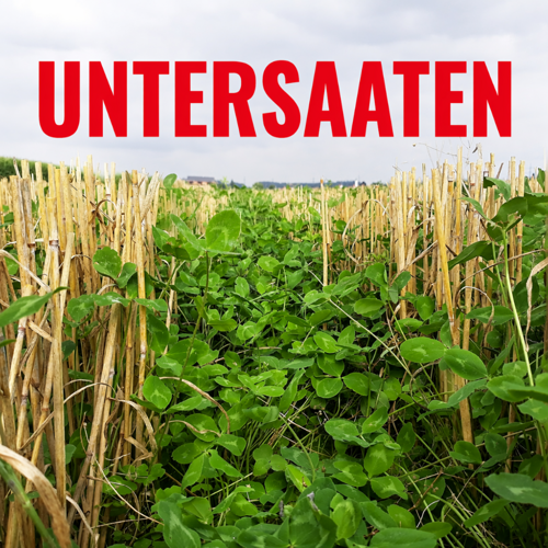 Untersaaten