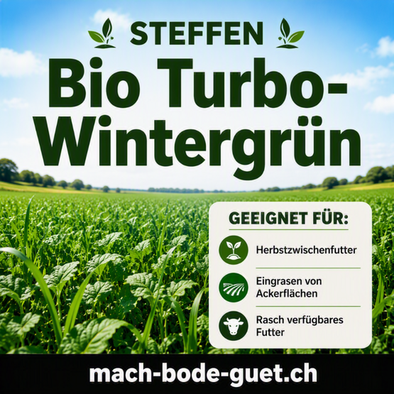 STEFFEN Bio Turbo-Wintergrün -10kg