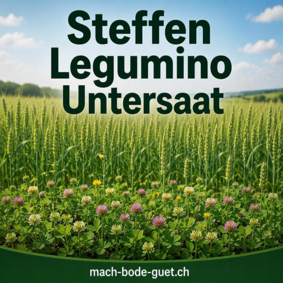 Steffen Legumino 10kg