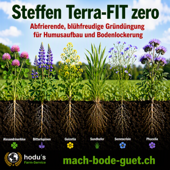 Steffen Terra Fit zero 20kg
