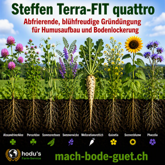 Steffen-Terra-Fit quattro 20kg