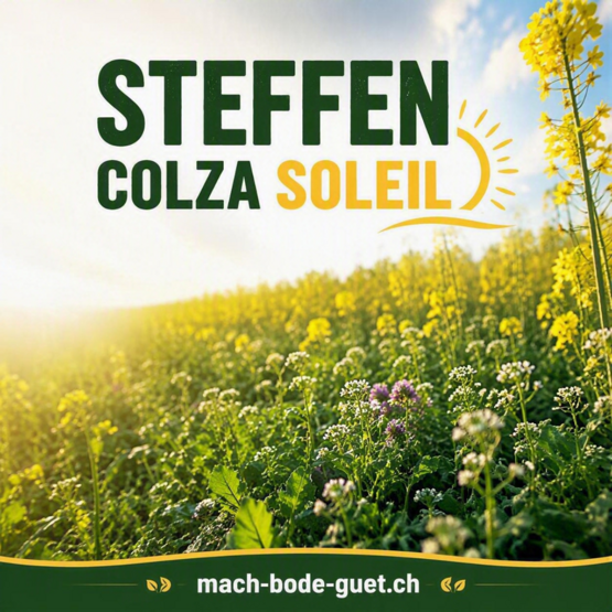 Steffen Colza Soleil 10kg