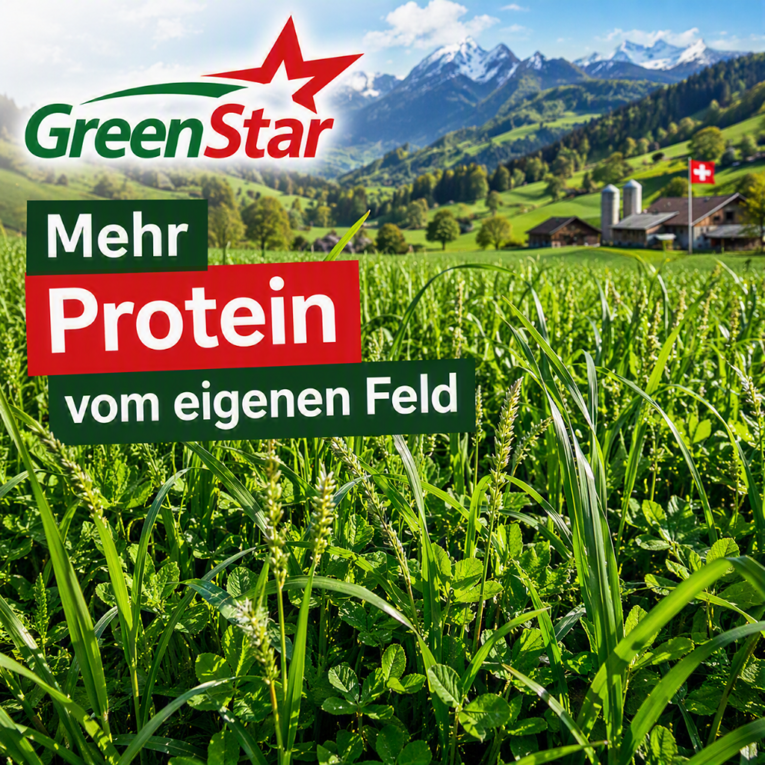 GreenStar-Gräsermischungen-mehr-Protein-mehr Ertrag